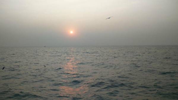 Aqua Arina Holiday Farm House