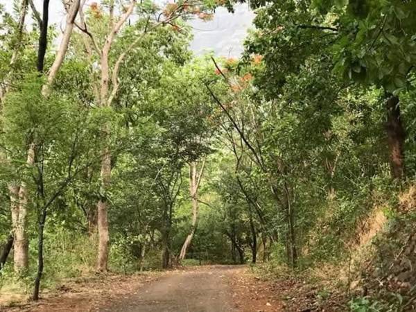 Weekend Villa at Nature's Lap (Malshej Ghat)