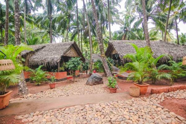 Palm Trees Ayurvedic Heritage