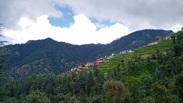 Glamwood Resort Dhanaulti Ranked 1 in Dhanaulti