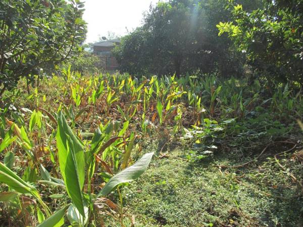 Vidya Konkan Agro Tourism