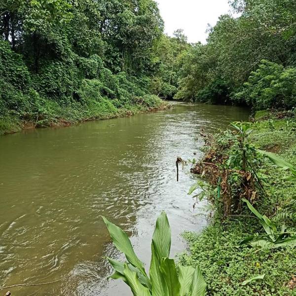 Chullikandam Forest Vacation Home