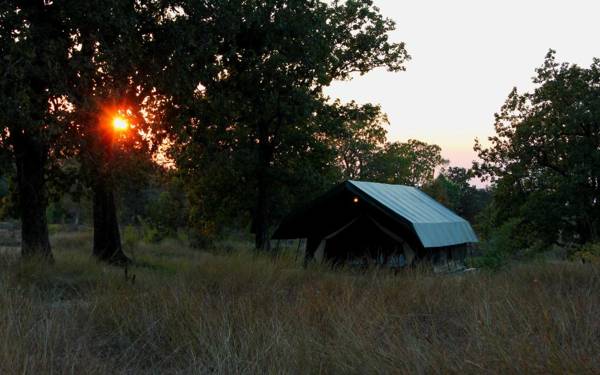 NaturesGroove Jungle Camp Basinkhar Mukki Kanha Baihar