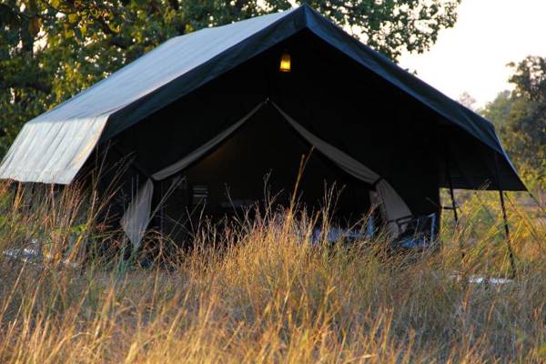 NaturesGroove Jungle Camp Basinkhar Mukki Kanha Baihar