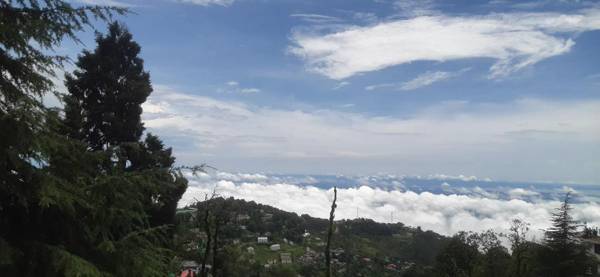 snow crest inn pvt ltd