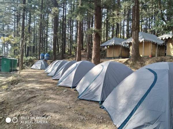 TriundView Camps and Homestay