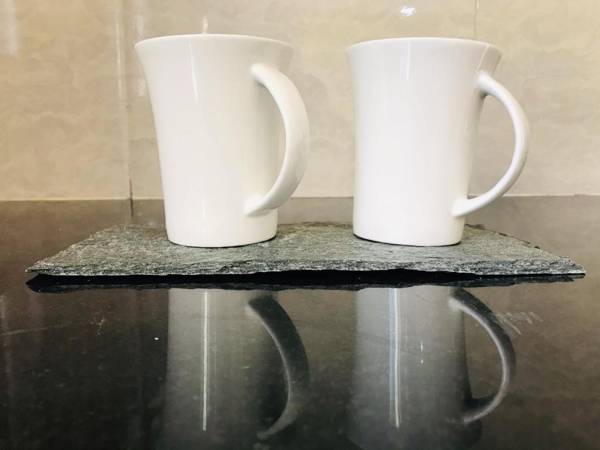 Junglaat Ecorganic Stays & Experiences