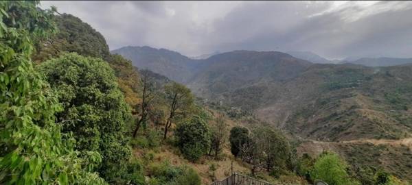 Joy Homestay Mcleodganj