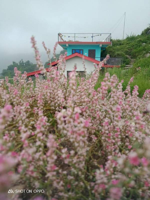 Great Himalayan adventure kareri