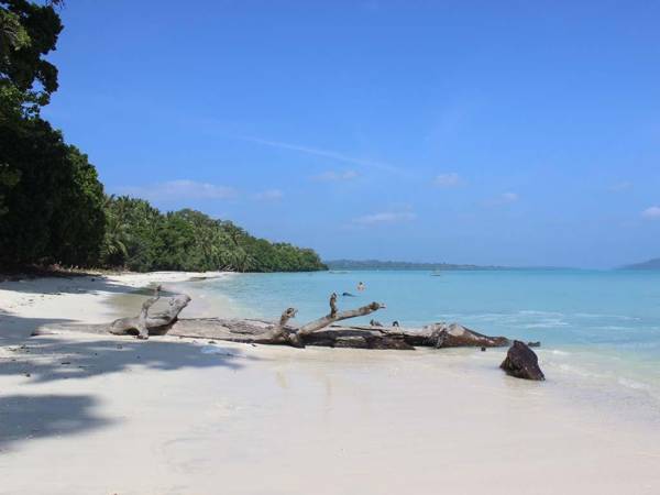 DOLPHIN BEACH RESORT