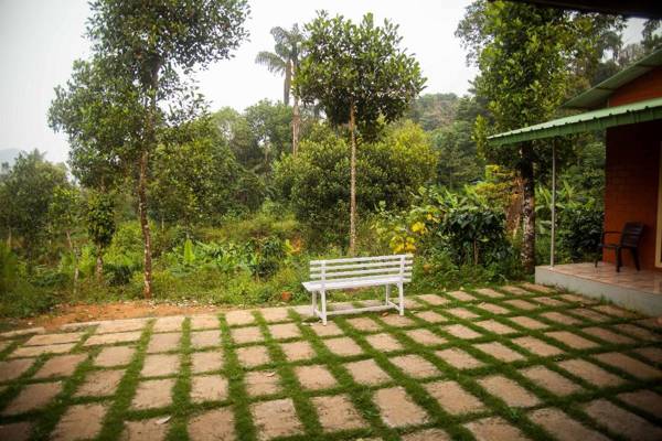 Yedamakky Plantations