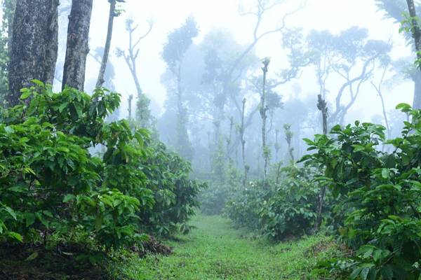 K K Group Of Residency