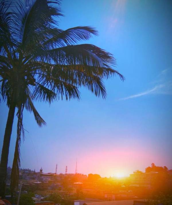 Kodaginamadilu top home