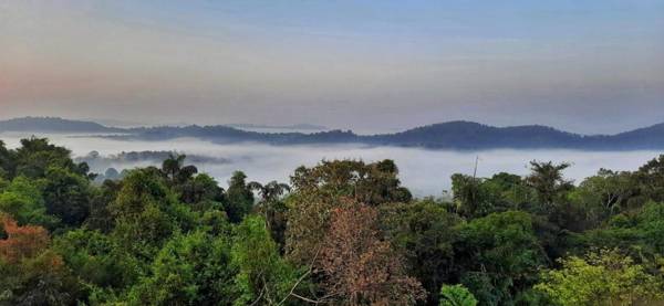 La Flora Aalaya Chinmayee Coorg