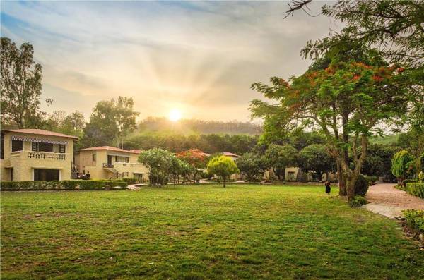 Pagoda's Manu Maharani