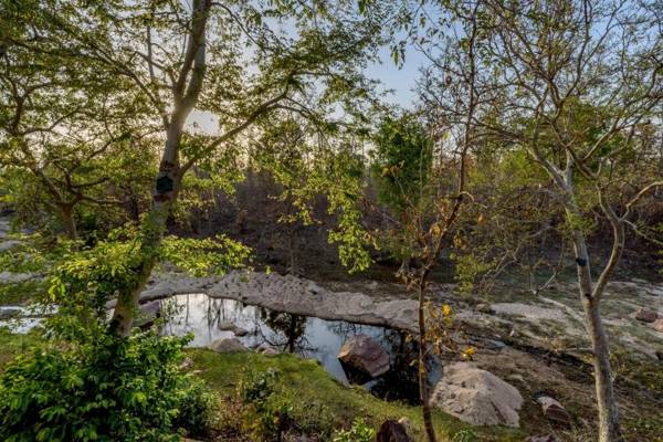 The Riverwood Forest Retreat Pench