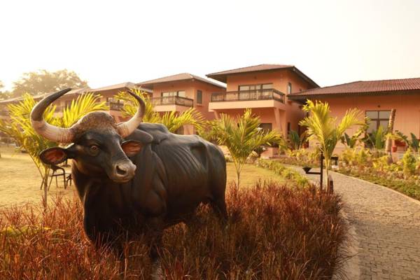 The Pench International's Jungle water park