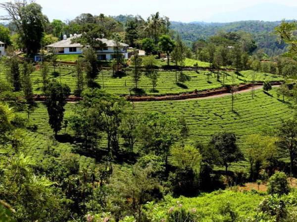 Parisons Plantation Experiences Bungalow