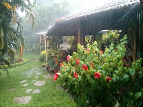 Tranquil Blusalz Collection