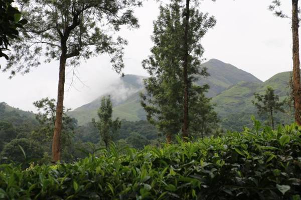 Green Garden Lotus Villa