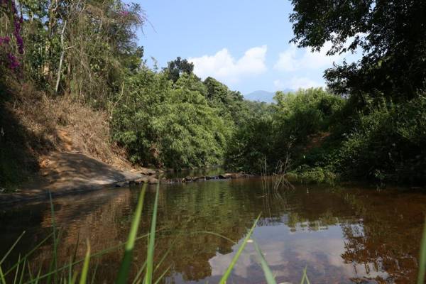 Vythiri Stream View