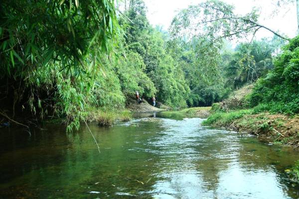 Vythiri Stream View