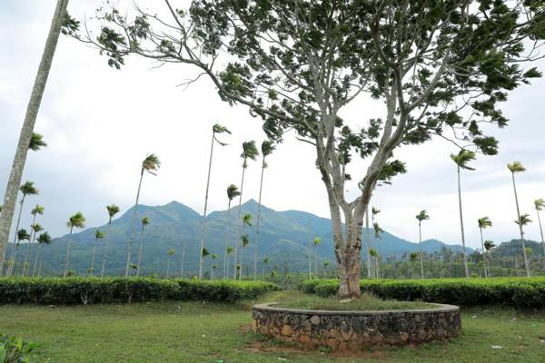 Aldora Holiday Homes