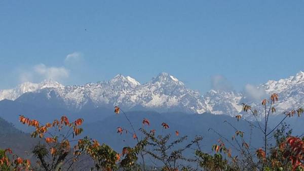 Yangsum Heritage Farm