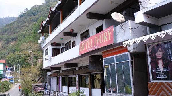 Local Connection - Hotel Ivory