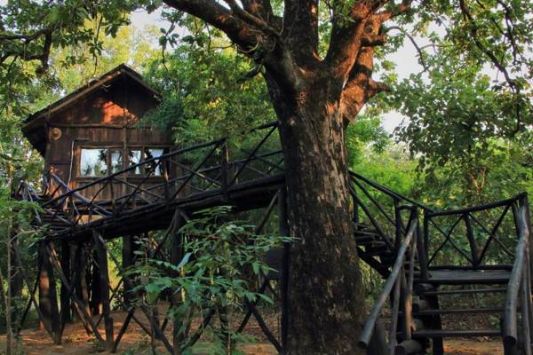 Tree House Hideaway