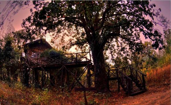 Tree House Hideaway