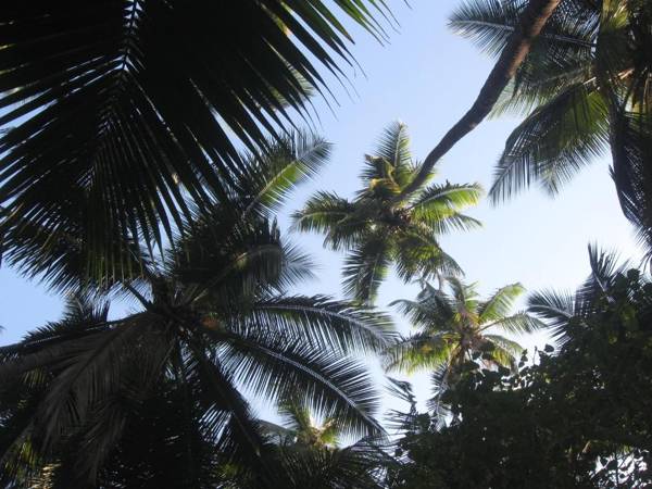 Mhatre's Guest House