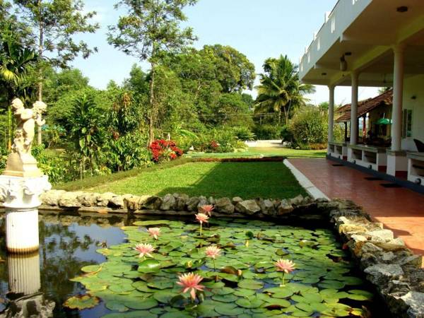 Grand Oak by Olive Stay