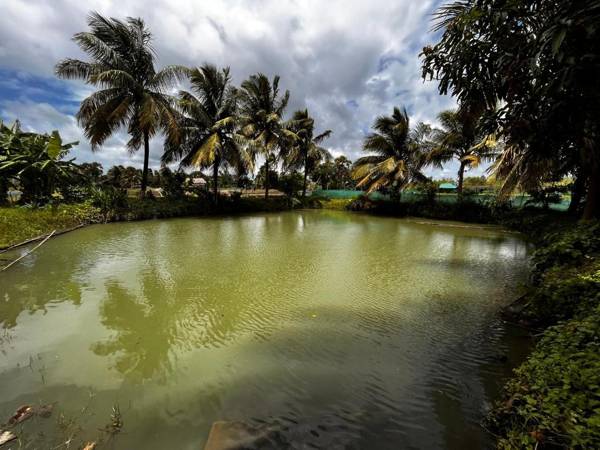 Satrangi Homestay Sundarban