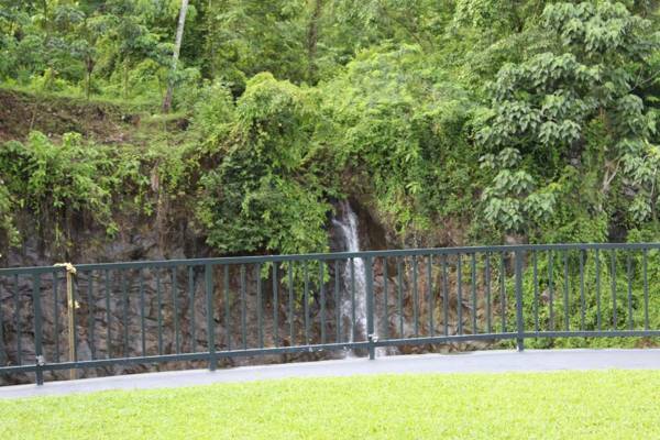 Athirapally Green Trees