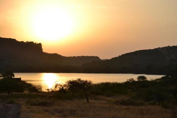 Ranthambore Tiger Home