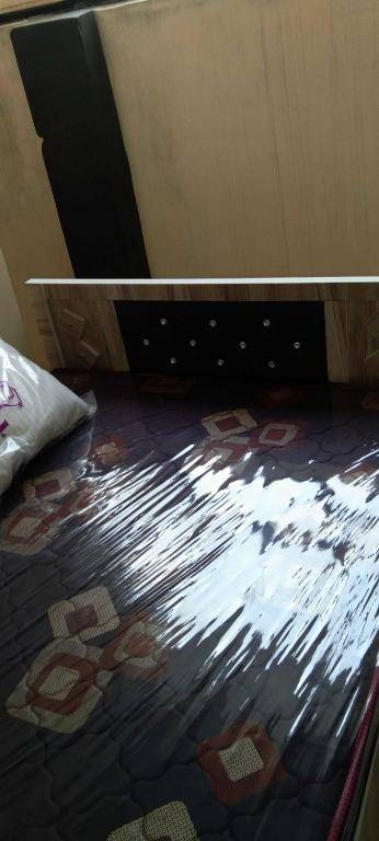 OYO HOME 90575 Blueberry