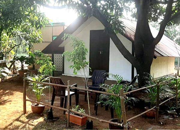 Green Environment Stay