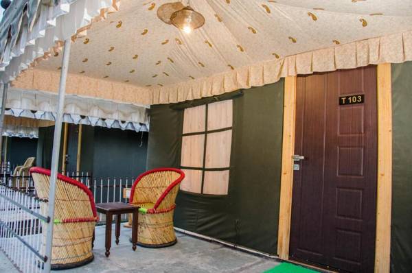 The timber garden adventure club