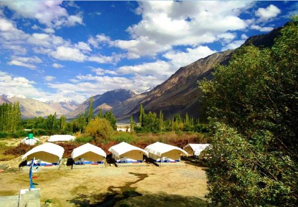 Shyok Camp - Nubra