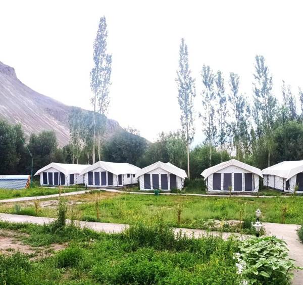 NUBRA VISTA CAMP