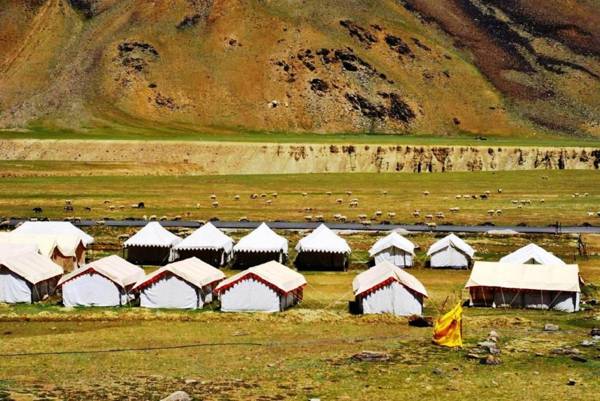 Himalayan Shakia Camp - Sarchu
