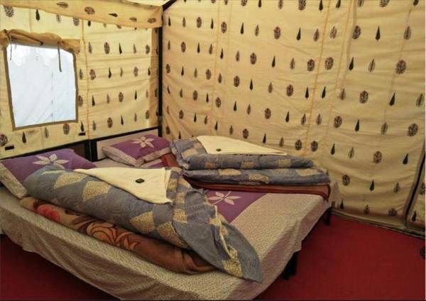 Himalayan Shakia Camp - Sarchu