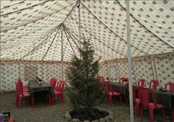 Himalayan Shakia Camp - Sarchu