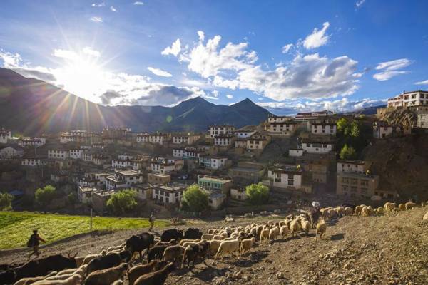 Zostel Homes Kibber (Lahaul and Spiti/Kaza)