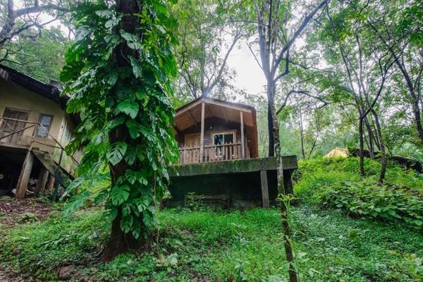 Old Magazine House - Jungle Lodges