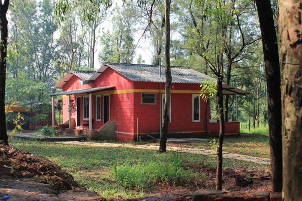 The Jungle Resort Amba