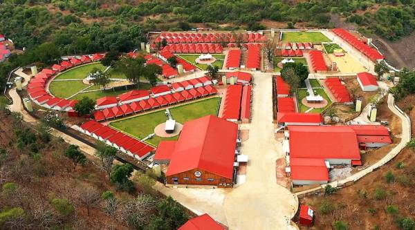 Tent City Narmada -Tent City 2