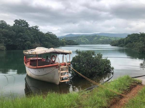 Homestay Woodnote Eco Resort