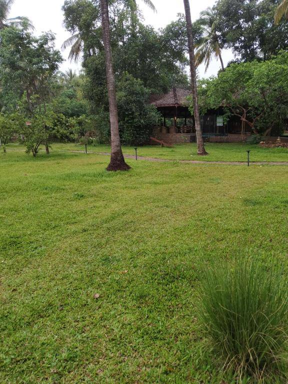 Orchard Resort Navage